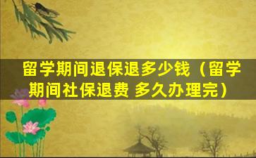 留学期间退保退多少钱（留学期间社保退费 多久办理完）
